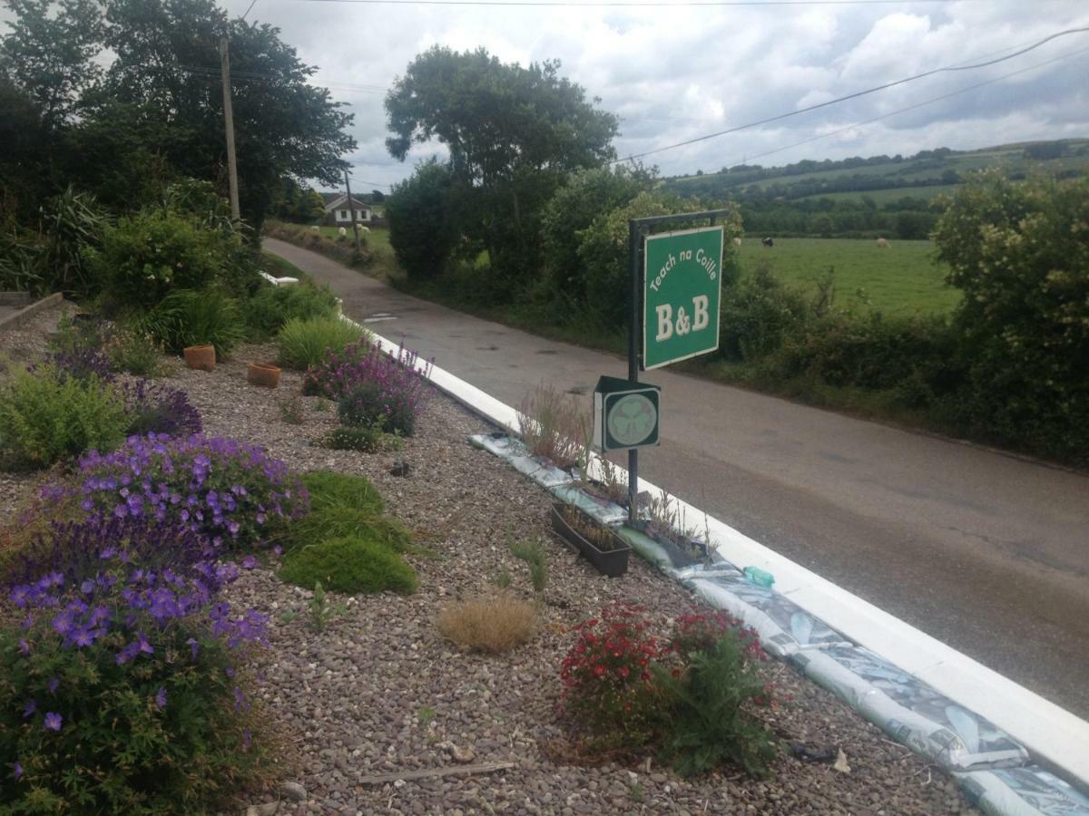 Bed & Breakfast Teach Na Coille Midleton