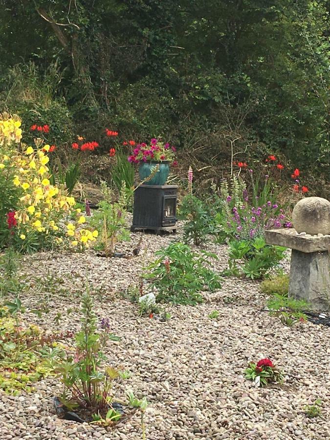 Bed & Breakfast Teach Na Coille Midleton